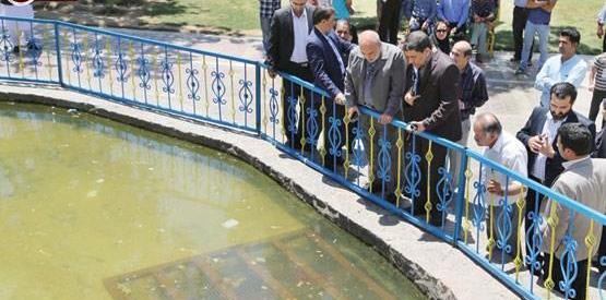 عکس سرسره مرگ