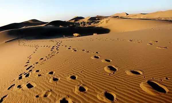 عکس کویر خارا