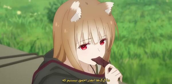 عکس انیمه گرگ
