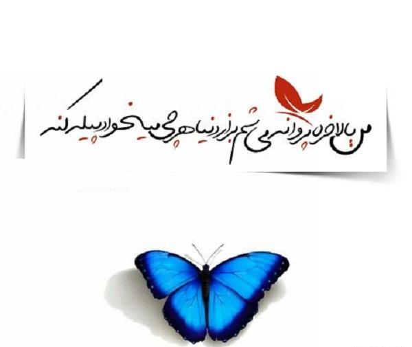 عکس نوشته های پروانه ای