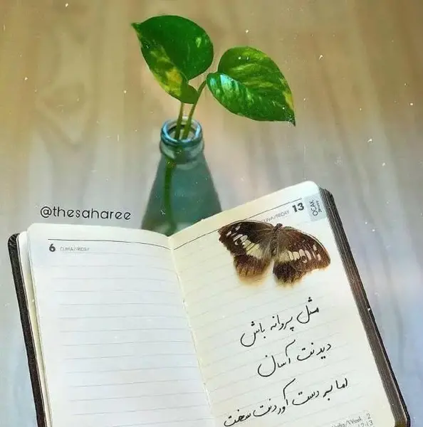 عکس نوشته های پروانه ای