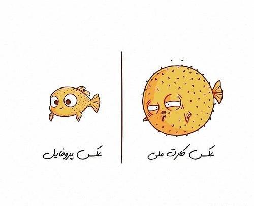 عکس مود طنز