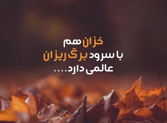عکس استوری نزدیک پاییز