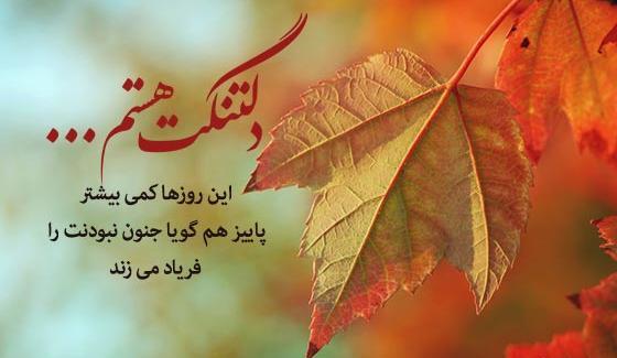 عکس استوری نزدیک پاییز