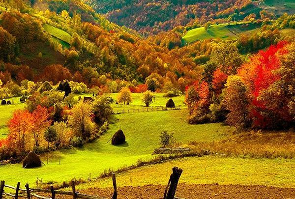 عکس از منظره پاییزی زیبا