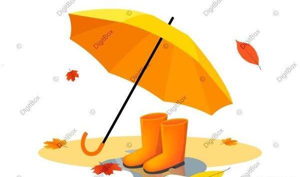 عکس چتر و برگ پاییزی