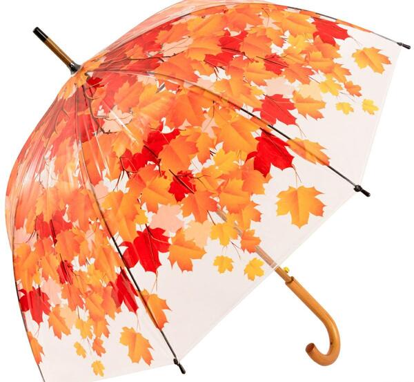 عکس چتر و برگ پاییزی