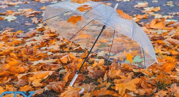 عکس چتر و برگ پاییزی