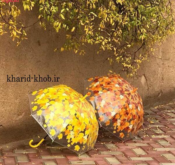 عکس چتر و برگ پاییزی