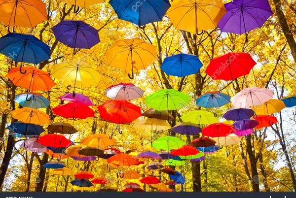 عکس چتر و برگ پاییزی