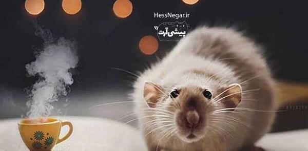 عکس نوشته آرزو قشنگ