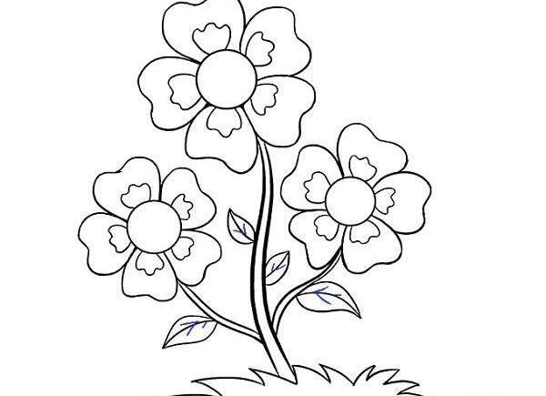 عکس گل زیبا نقاشی