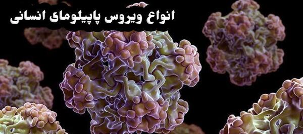 عکس ویروس پاپیلومای انسانی
