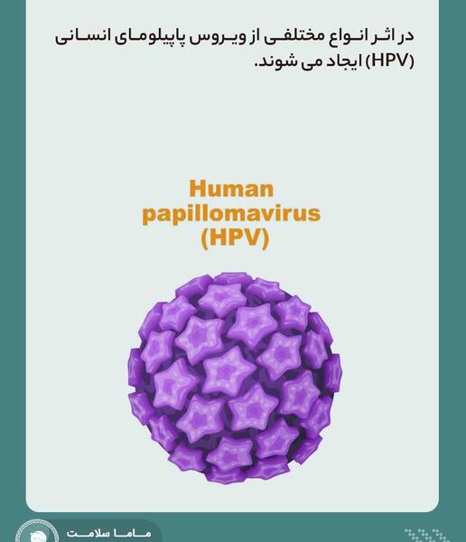 عکس ویروس پاپیلومای انسانی