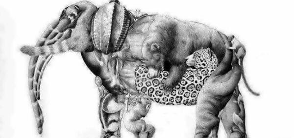 عکس چالش بینایی