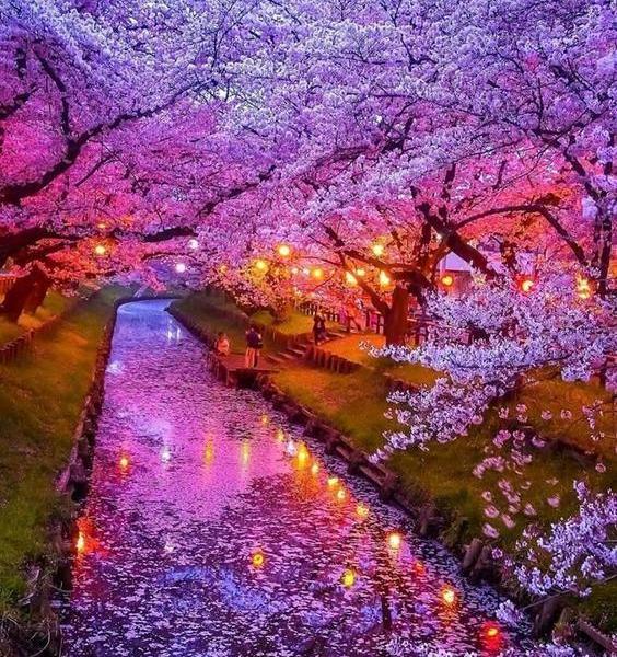 عکس و تصویر طبیعت برای پروفایل