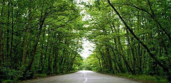 عکس از طبیعت تالش