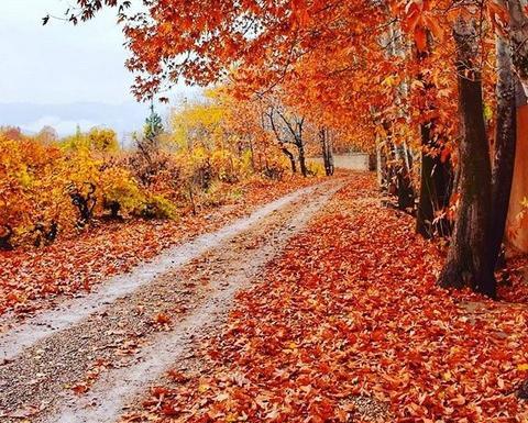 عکس های پاییز برای پروفایل