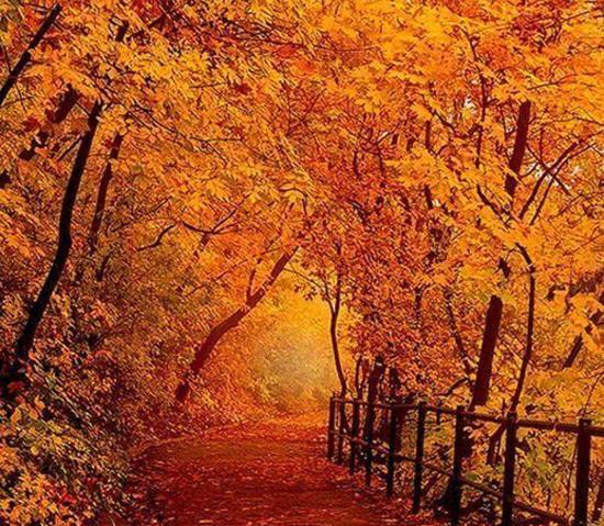 عکس های پاییز برای پروفایل