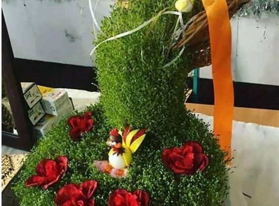 عکس سبزه ی ماش