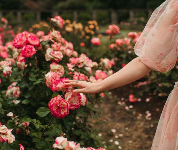 عکس باغ گل برای پروفایل