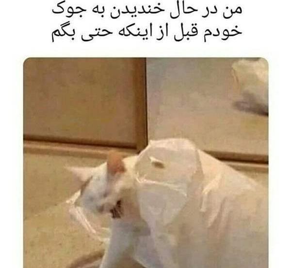 عکس سوتی زیر پتو نی نی سایت