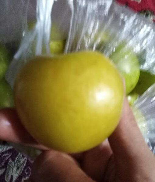 عکس سوتی زیر پتو نی نی سایت
