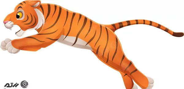 عکس ببر در حال دویدن