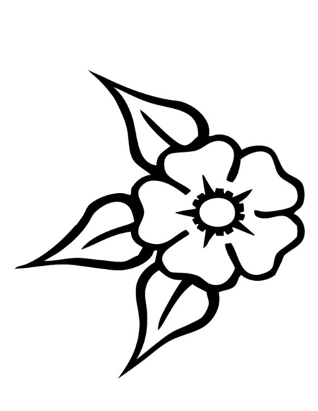 عکس نقاشی گل قشنگ آسان