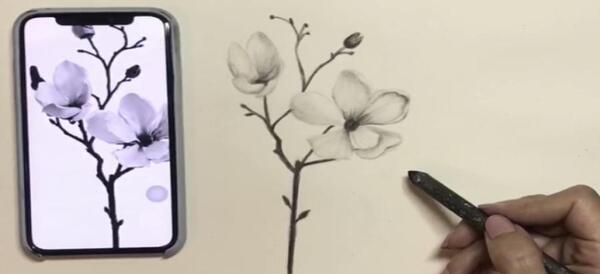 عکس نقاشی ساده و زیبای گل