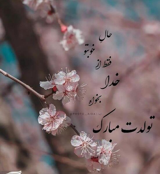 عکس پروفایل همسر فروردینی