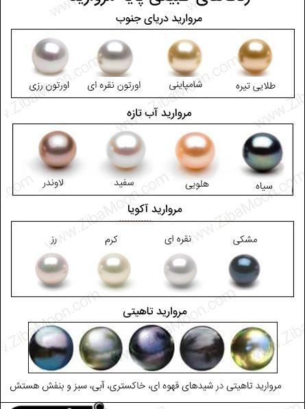 عکس صدف مروارید دار