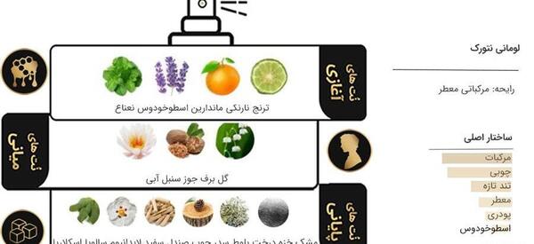 عکس ادکلن نتورک
