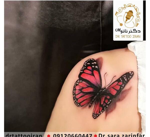 عکس پروانه روی دست