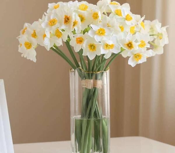 عکس گل نرگس با گلدان