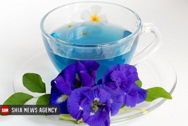عکس چای آبی
