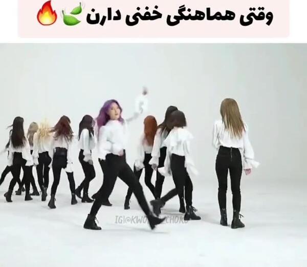 عکس گروه لونا