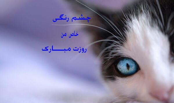 عکس نوشته روز جهانی چشم رنگیا
