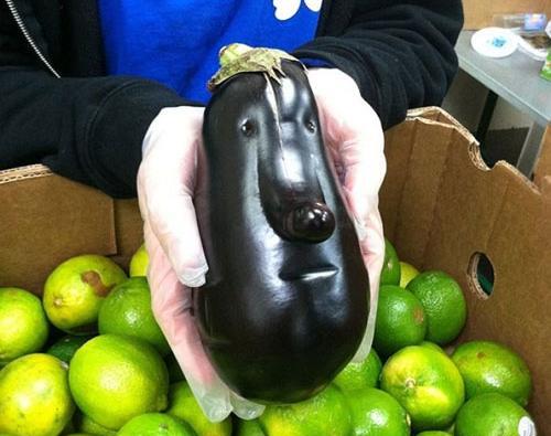 عکس کیوت میوه