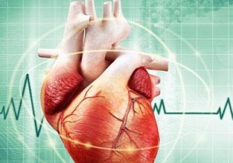 عکس قلب انسان پزشکی