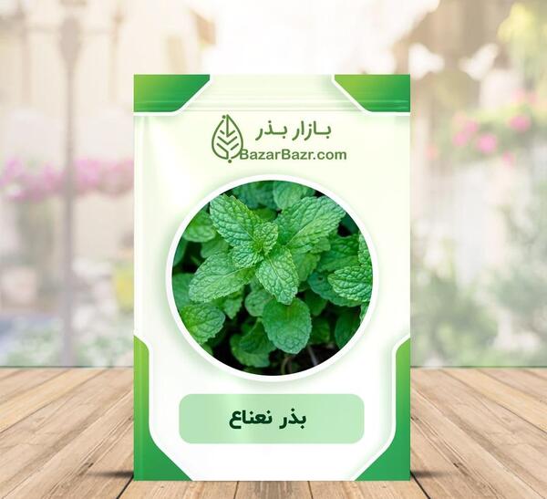 عکس بذر نعناع
