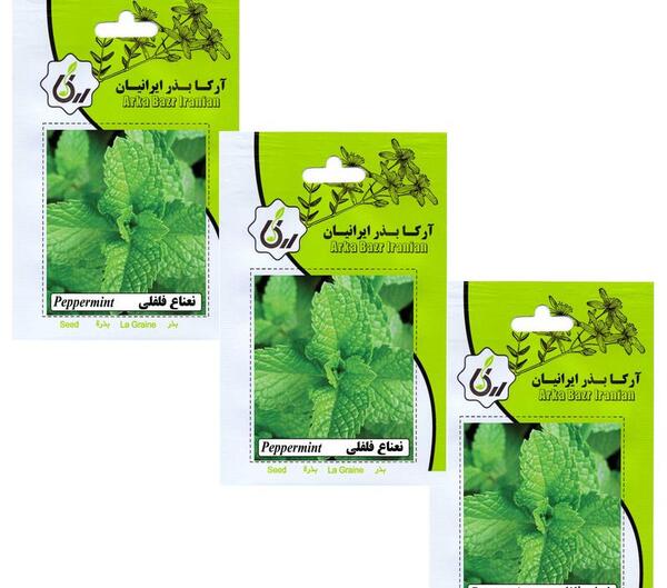 عکس بذر نعناع