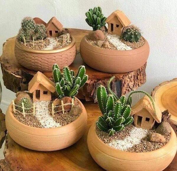 عکس گل طبیعی کاکتوس