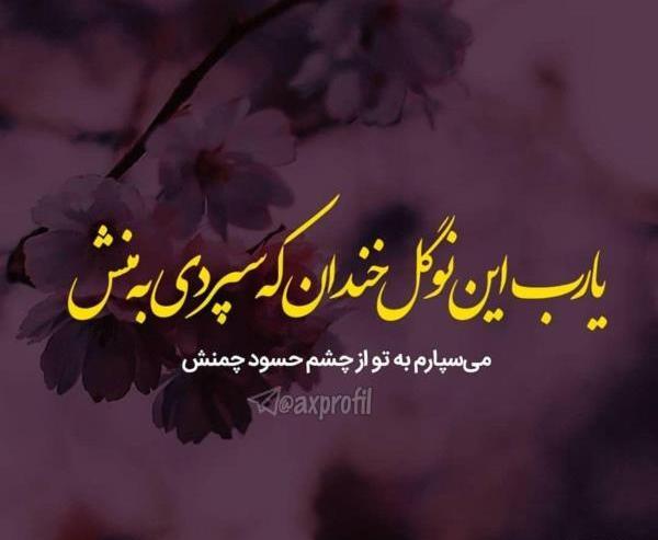 عکس نوشته دار حسود