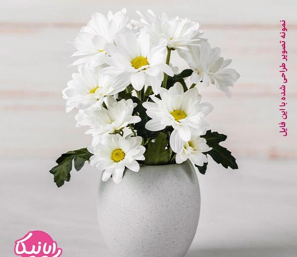 عکس سفید گلی