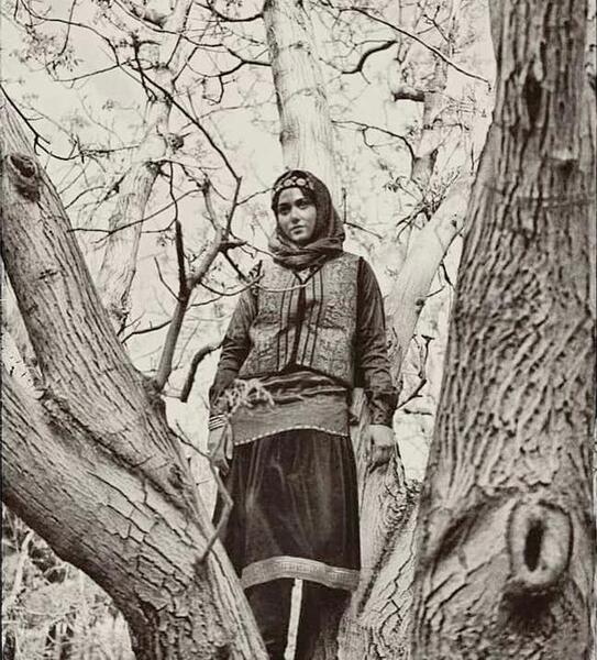 عکس قبر جیران