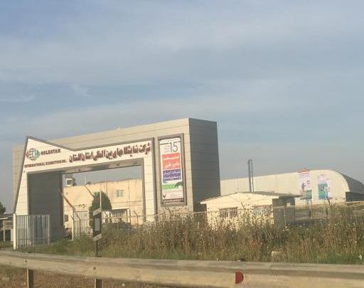 عکس نمایشگاه گلستان