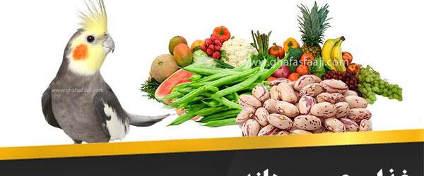 عکس ظرف عروس هلندی