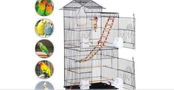 عکس ظرف عروس هلندی