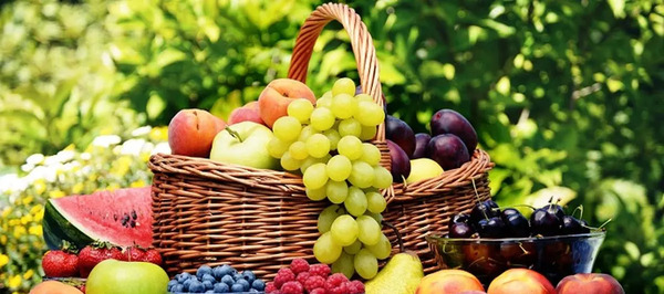 عکس حافظ تره باری